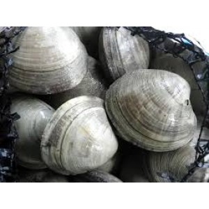 Cherry Stones clams